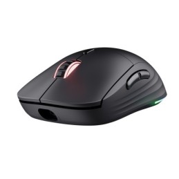 RATON GAMING WIRELESS...