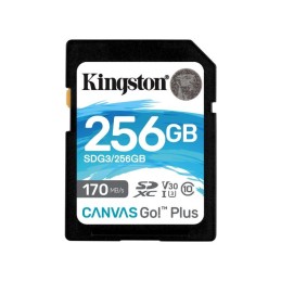 SECURE DIGITAL HC 256 GB...