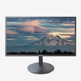 MONITOR APPM19B V2 NEGRO...